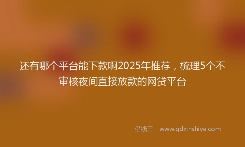 还有哪个平台能下款啊2025年推荐，梳理5个不审核夜间直接放款的网贷平台