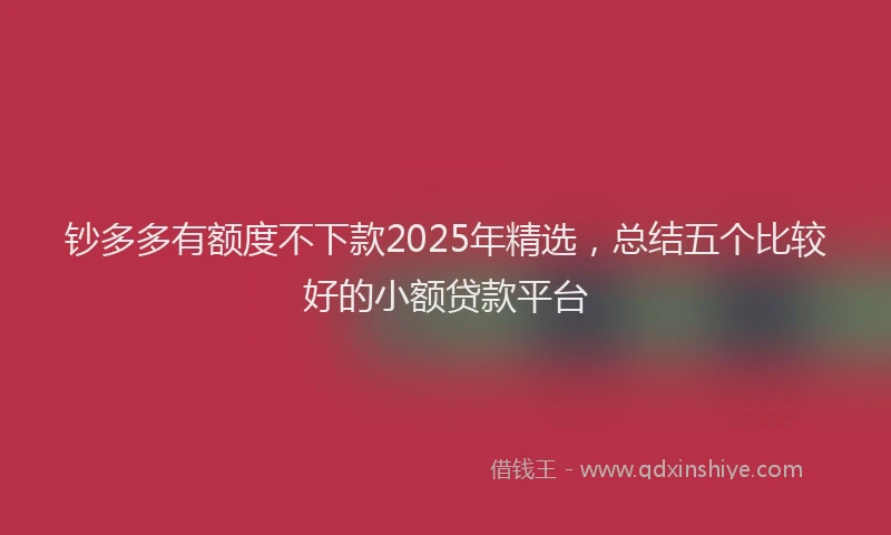 钞多多有额度不下款2025年精选，总结五个比较好的小额贷款平台