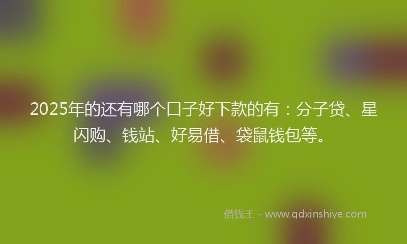 2025年的还有哪个口子好下款的有：分子贷、星闪购、钱站、好易借、袋鼠钱包等。