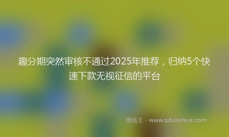 趣分期突然审核不通过2025年推荐，归纳5个快速下款无视征信的平台