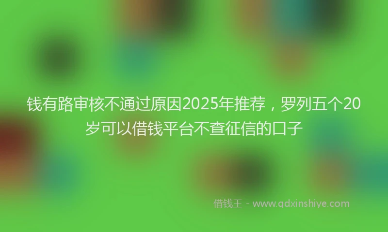 钱有路审核不通过原因2025年推荐，罗列五个20岁可以借钱平台不查征信的口子