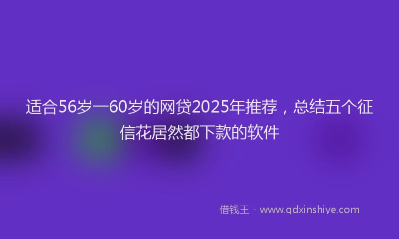 适合56岁一60岁的网贷2025年推荐，总结五个征信花居然都下款的软件