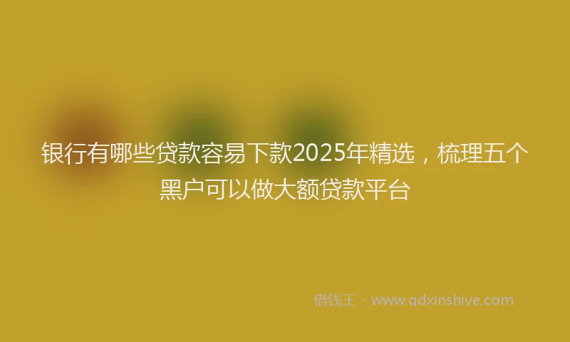 银行有哪些贷款容易下款2025年精选，梳理五个黑户可以做大额贷款平台