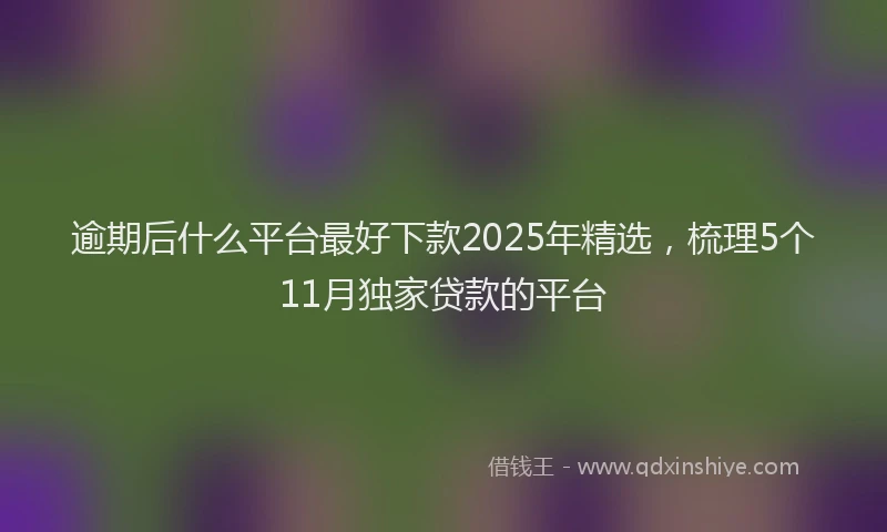 逾期后什么平台最好下款2025年精选，梳理5个11月独家贷款的平台