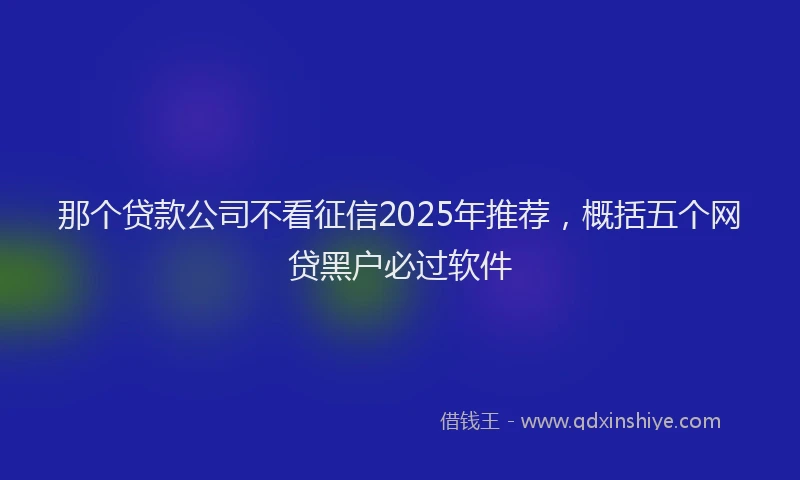 那个贷款公司不看征信2025年推荐，概括五个网贷黑户必过软件