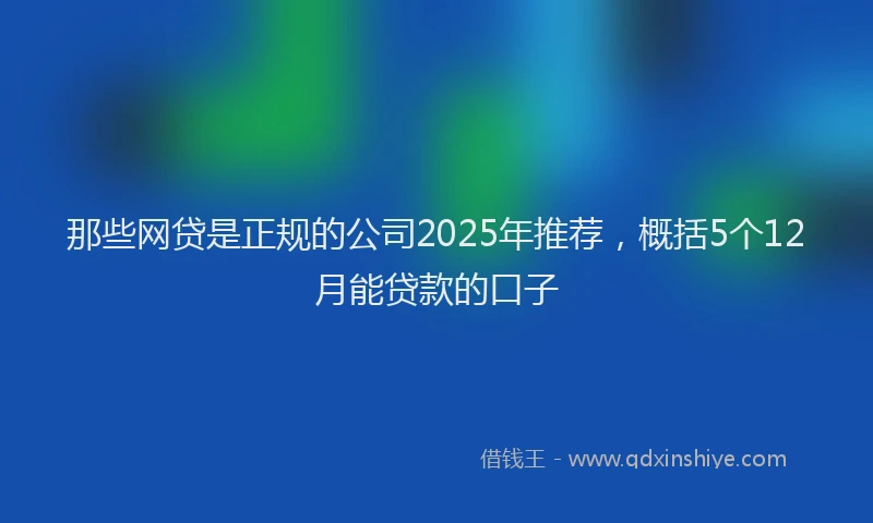 那些网贷是正规的公司2025年推荐，概括5个12月能贷款的口子