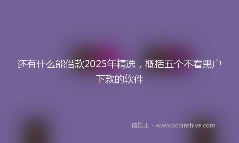 还有什么能借款2025年精选，概括五个不看黑户下款的软件