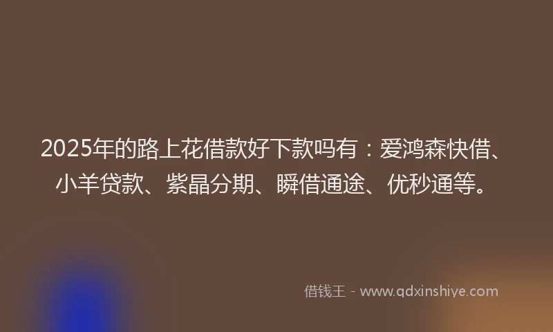 2025年的路上花借款好下款吗有：爱鸿森快借、小羊贷款、紫晶分期、瞬借通途、优秒通等。