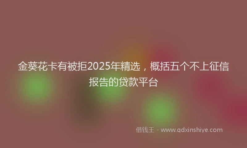 金葵花卡有被拒2025年精选，概括五个不上征信报告的贷款平台