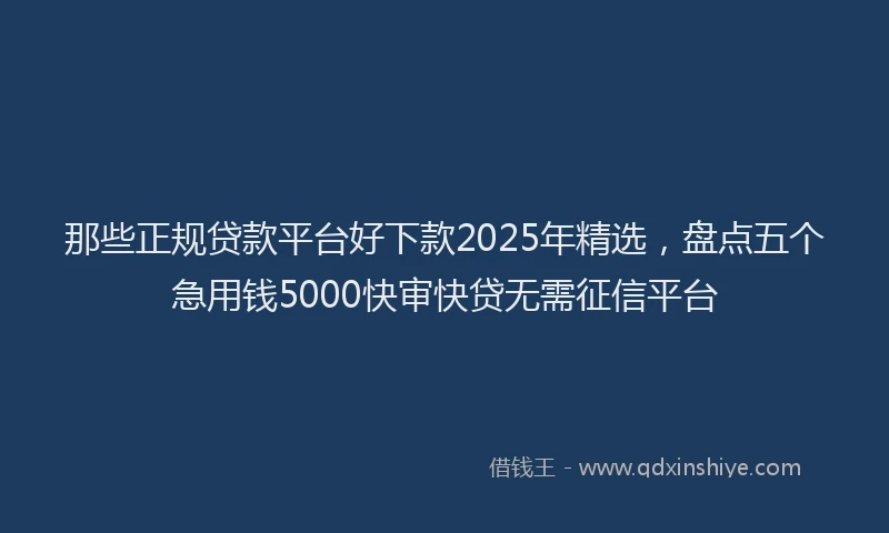 那些正规贷款平台好下款2025年精选，盘点五个急用钱5000快审快贷无需征信平台