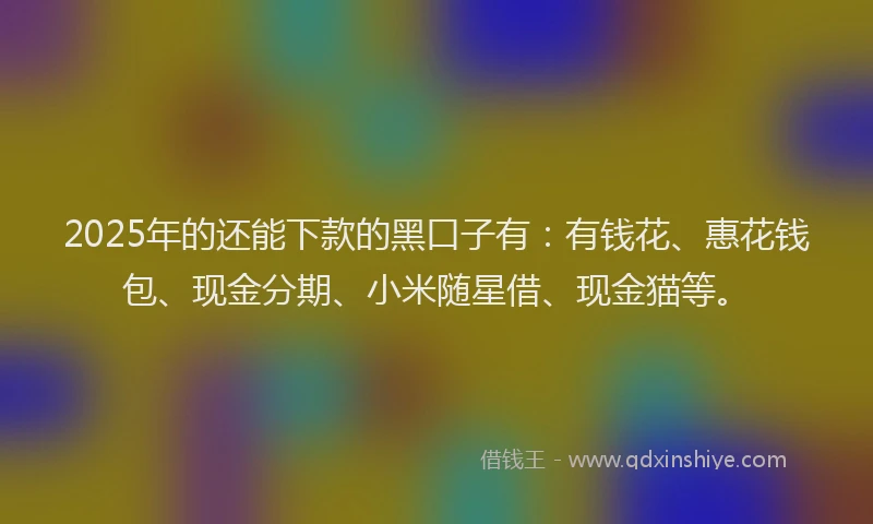 2025年的还能下款的黑口子有：有钱花、惠花钱包、现金分期、小米随星借、现金猫等。
