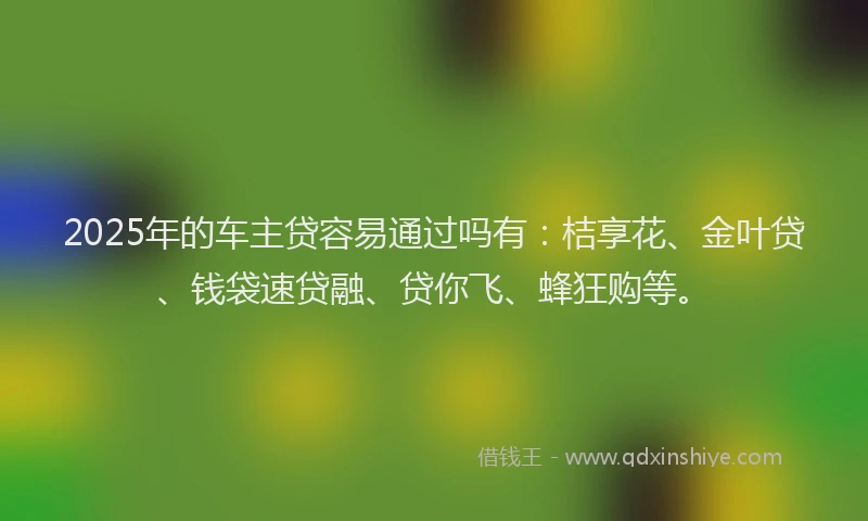 2025年的车主贷容易通过吗有：桔享花、金叶贷、钱袋速贷融、贷你飞、蜂狂购等。