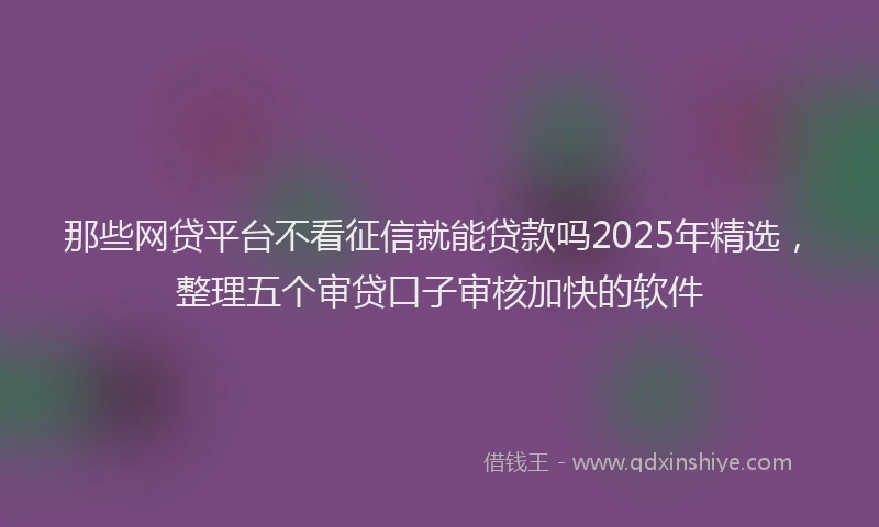 那些网贷平台不看征信就能贷款吗2025年精选，整理五个审贷口子审核加快的软件