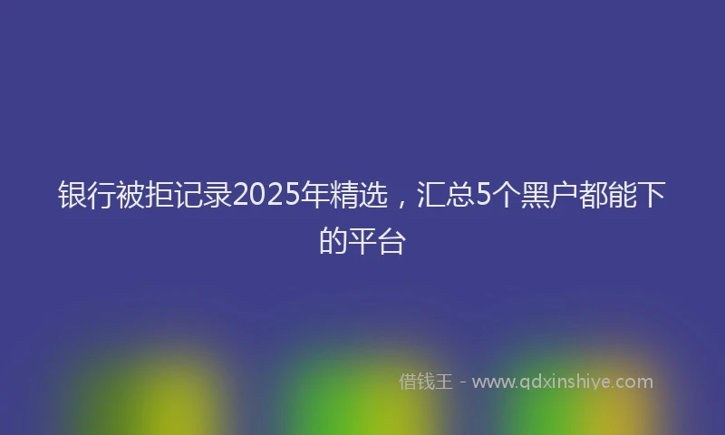 银行被拒记录2025年精选，汇总5个黑户都能下的平台