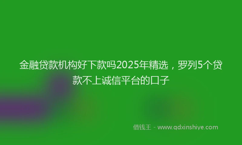 金融贷款机构好下款吗2025年精选，罗列5个贷款不上诚信平台的口子