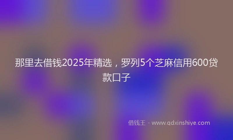 那里去借钱2025年精选，罗列5个芝麻信用600贷款口子