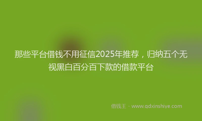 那些平台借钱不用征信2025年推荐，归纳五个无视黑白百分百下款的借款平台