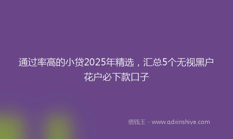 通过率高的小贷2025年精选，汇总5个无视黑户花户必下款口子