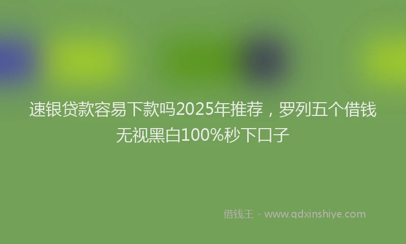 速银贷款容易下款吗2025年推荐，罗列五个借钱无视黑白100%秒下口子