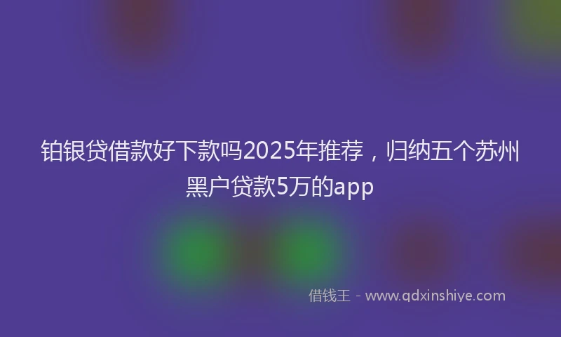 铂银贷借款好下款吗2025年推荐，归纳五个苏州黑户贷款5万的app