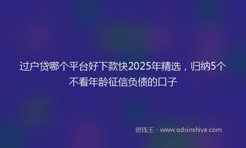 过户贷哪个平台好下款快2025年精选，归纳5个不看年龄征信负债的口子