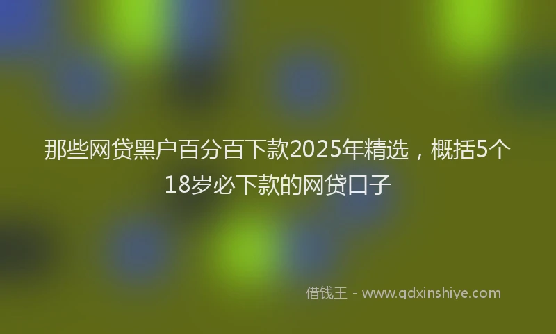 那些网贷黑户百分百下款2025年精选，概括5个18岁必下款的网贷口子