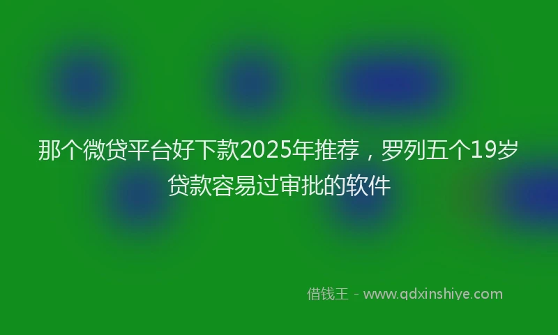 那个微贷平台好下款2025年推荐，罗列五个19岁贷款容易过审批的软件