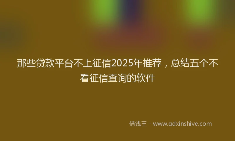那些贷款平台不上征信2025年推荐，总结五个不看征信查询的软件