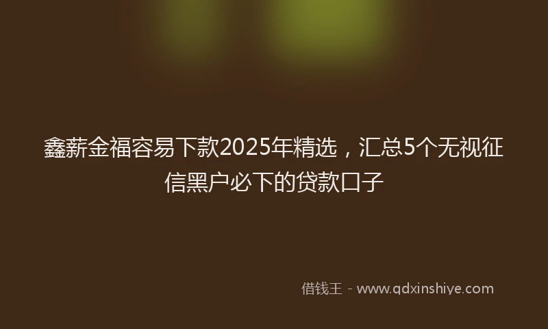 鑫薪金福容易下款2025年精选，汇总5个无视征信黑户必下的贷款口子