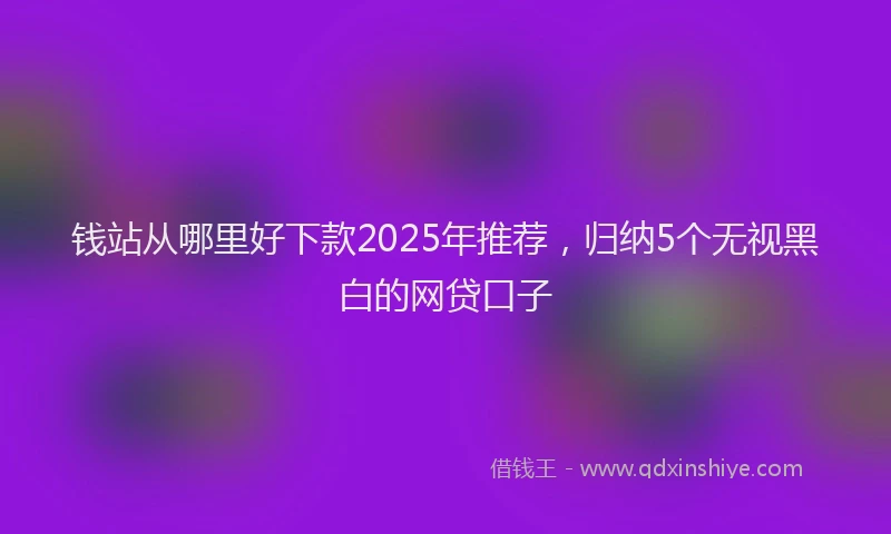 钱站从哪里好下款2025年推荐，归纳5个无视黑白的网贷口子