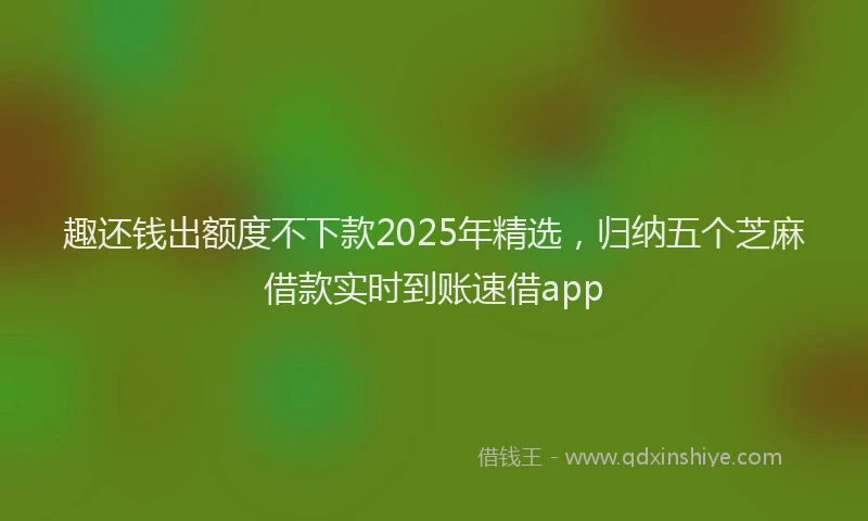 趣还钱出额度不下款2025年精选，归纳五个芝麻借款实时到账速借app