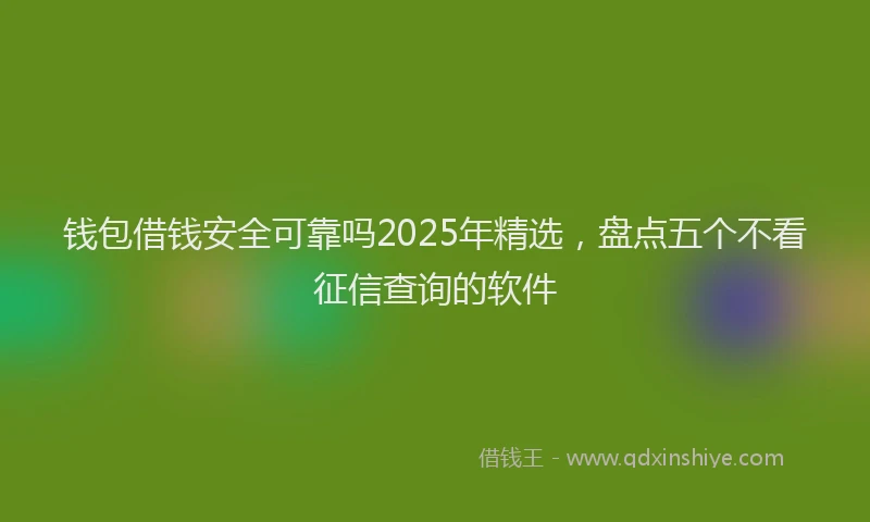 钱包借钱安全可靠吗2025年精选，盘点五个不看征信查询的软件