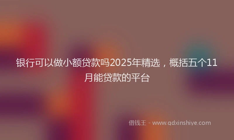 银行可以做小额贷款吗2025年精选，概括五个11月能贷款的平台