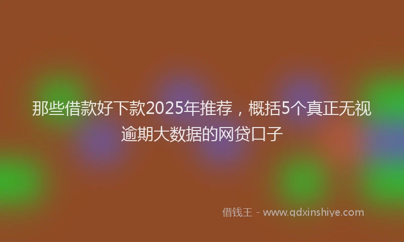 那些借款好下款2025年推荐，概括5个真正无视逾期大数据的网贷口子