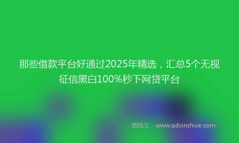 那些借款平台好通过2025年精选，汇总5个无视征信黑白100%秒下网贷平台