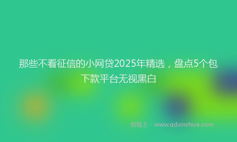 那些不看征信的小网贷2025年精选，盘点5个包下款平台无视黑白