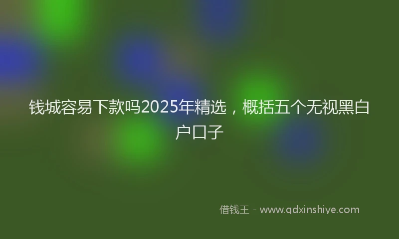 钱城容易下款吗2025年精选，概括五个无视黑白户口子