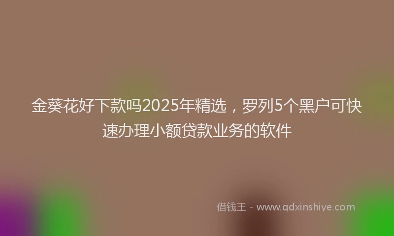 金葵花好下款吗2025年精选，罗列5个黑户可快速办理小额贷款业务的软件