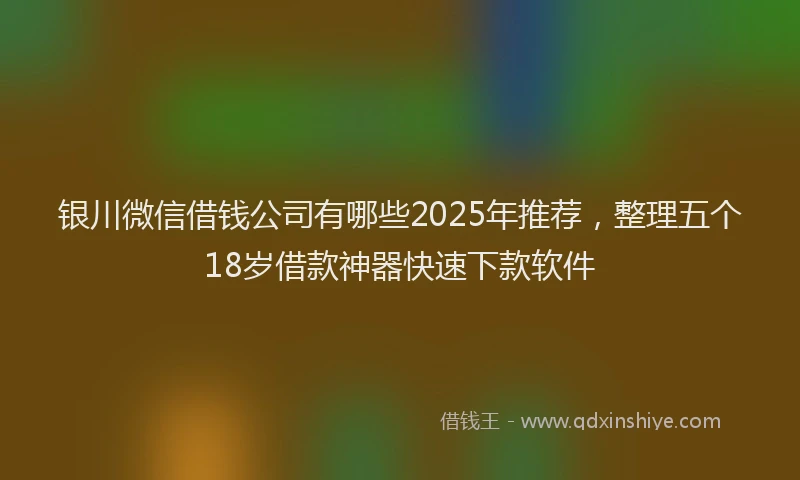 银川微信借钱公司有哪些2025年推荐，整理五个18岁借款神器快速下款软件