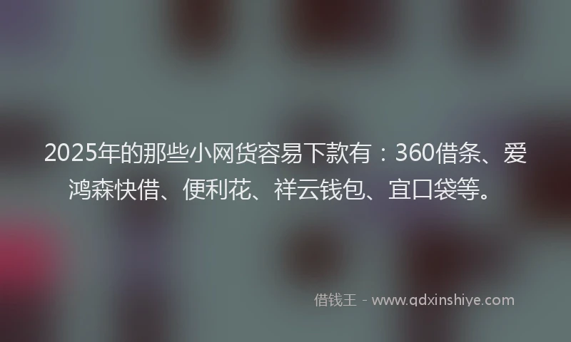 2025年的那些小网货容易下款有：360借条、爱鸿森快借、便利花、祥云钱包、宜口袋等。