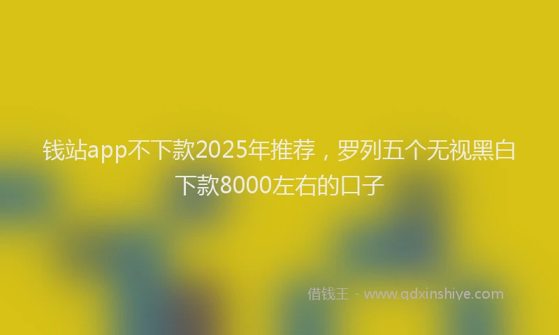 钱站app不下款2025年推荐，罗列五个无视黑白下款8000左右的口子
