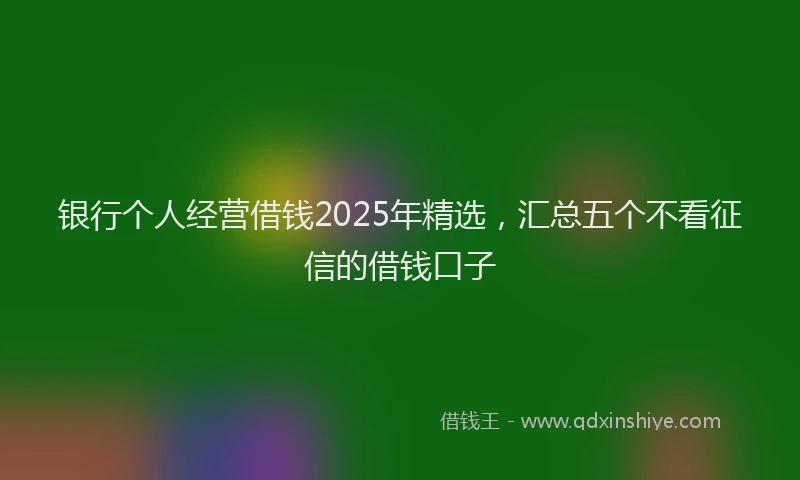 银行个人经营借钱2025年精选，汇总五个不看征信的借钱口子