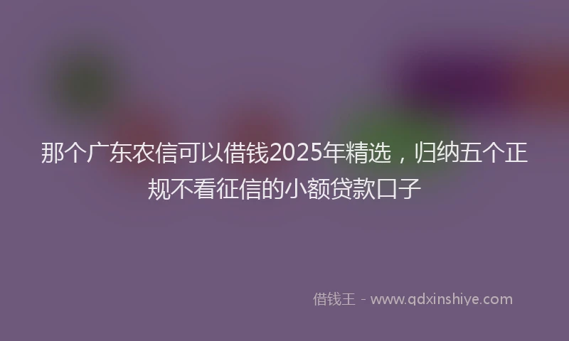 那个广东农信可以借钱2025年精选，归纳五个正规不看征信的小额贷款口子