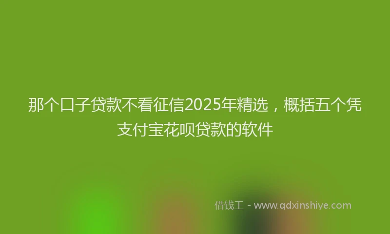 那个口子贷款不看征信2025年精选，概括五个凭支付宝花呗贷款的软件