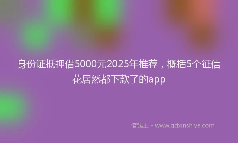 身份证抵押借5000元2025年推荐，概括5个征信花居然都下款了的app