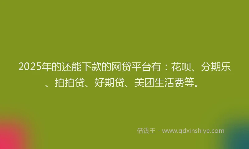 2025年的还能下款的网贷平台有：花呗、分期乐、拍拍贷、好期贷、美团生活费等。