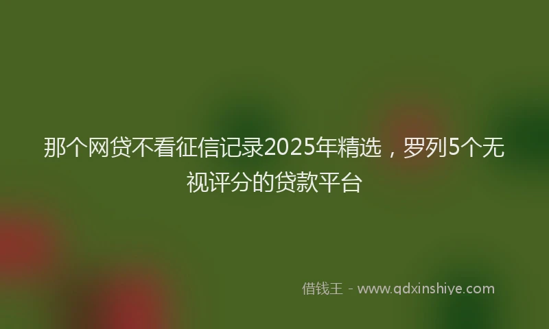 那个网贷不看征信记录2025年精选，罗列5个无视评分的贷款平台