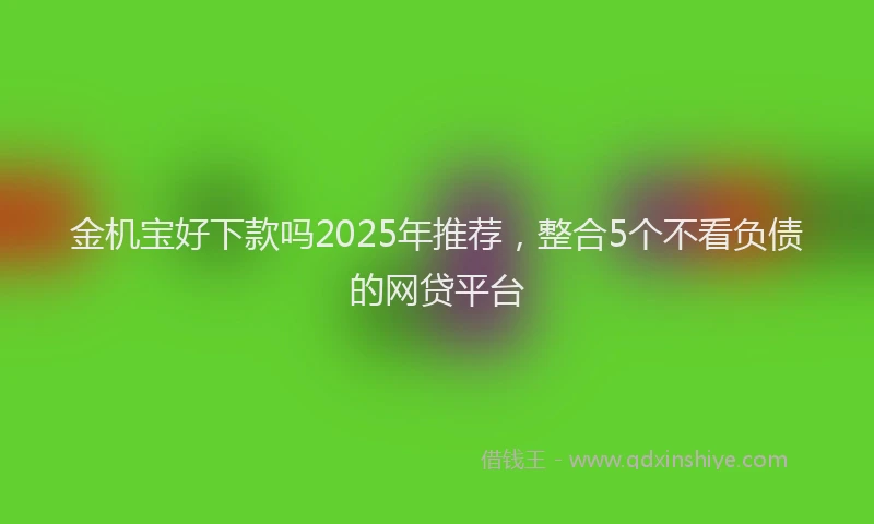 金机宝好下款吗2025年推荐，整合5个不看负债的网贷平台
