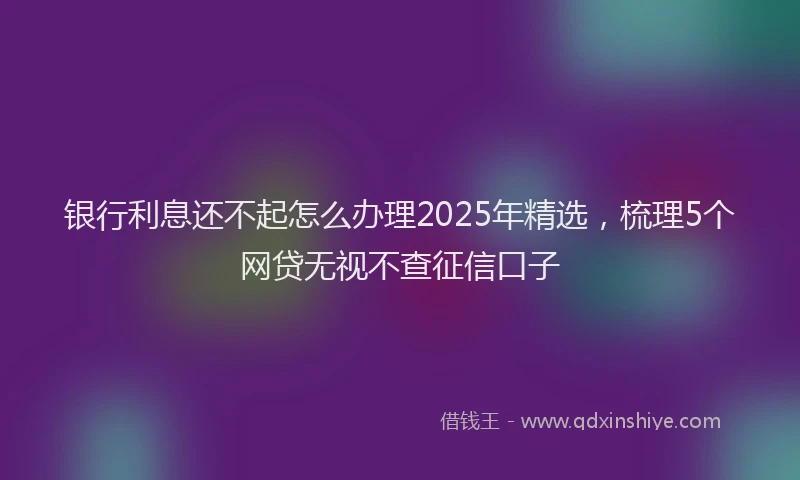 银行利息还不起怎么办理2025年精选，梳理5个网贷无视不查征信口子