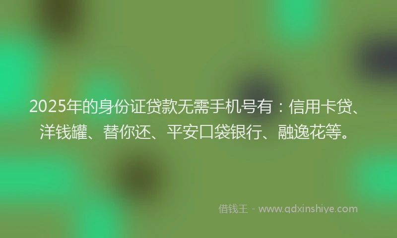 2025年的身份证贷款无需手机号有：信用卡贷、洋钱罐、替你还、平安口袋银行、融逸花等。